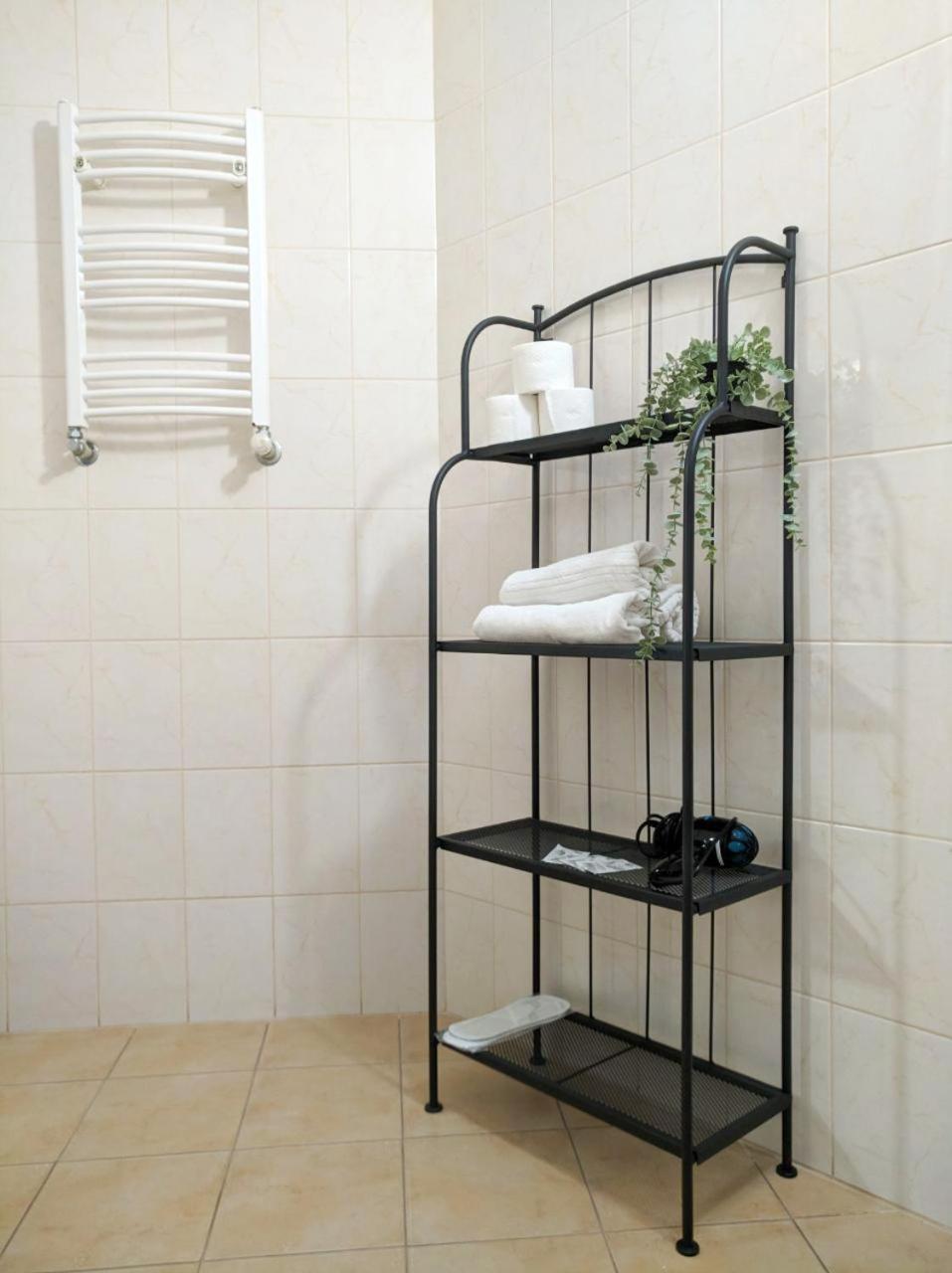 Best Apartment In The Center Мукачево Екстер'єр фото